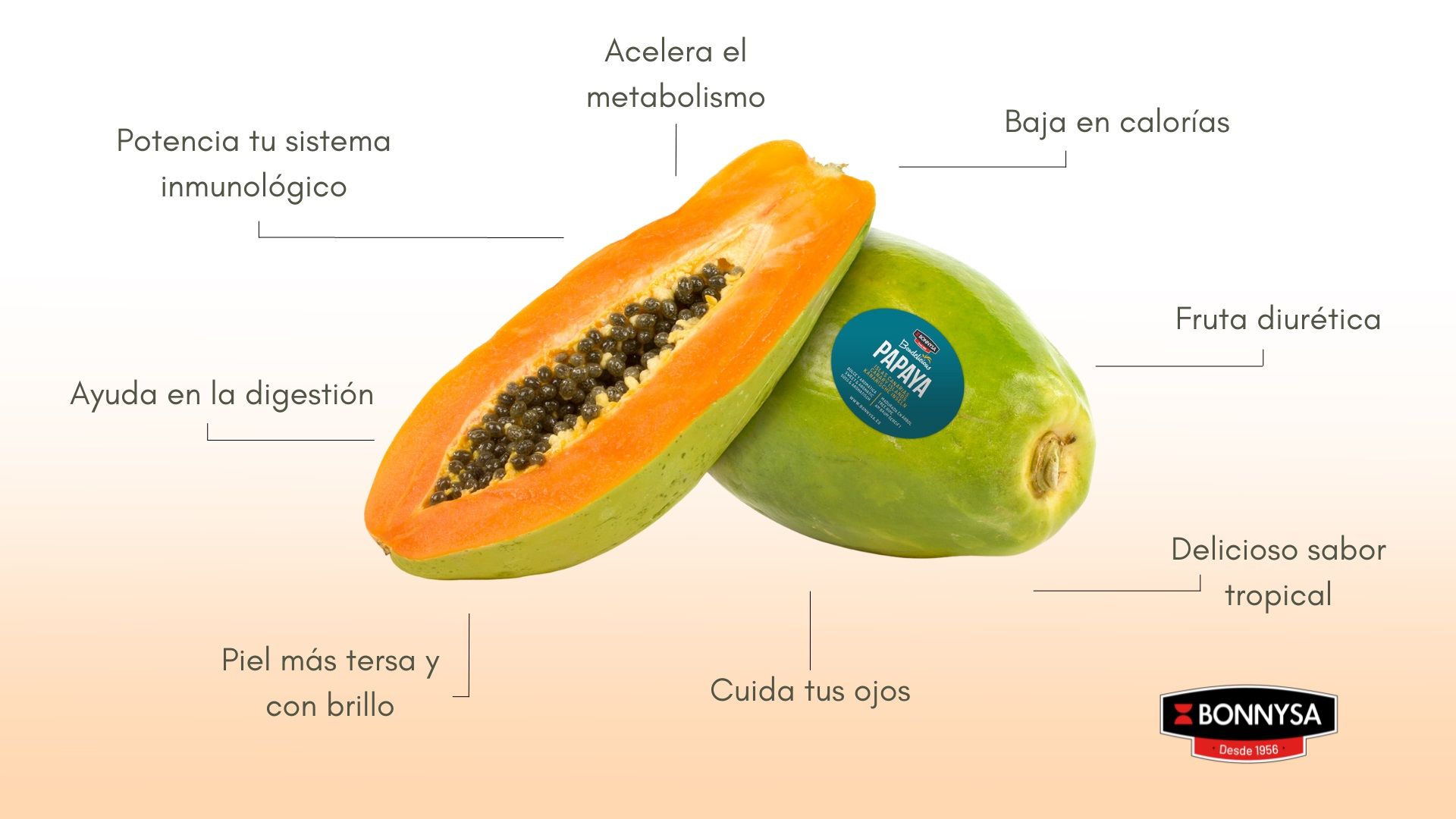 ¿conoces Los Beneficios De La Papaya Las Gastrocrónicasemk 1154